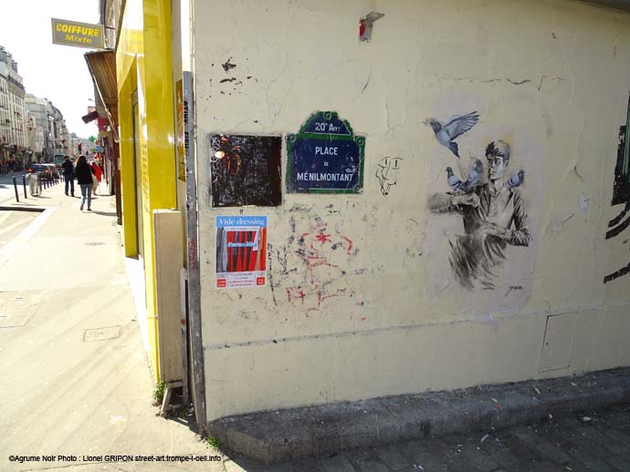 Oiseaux des villes