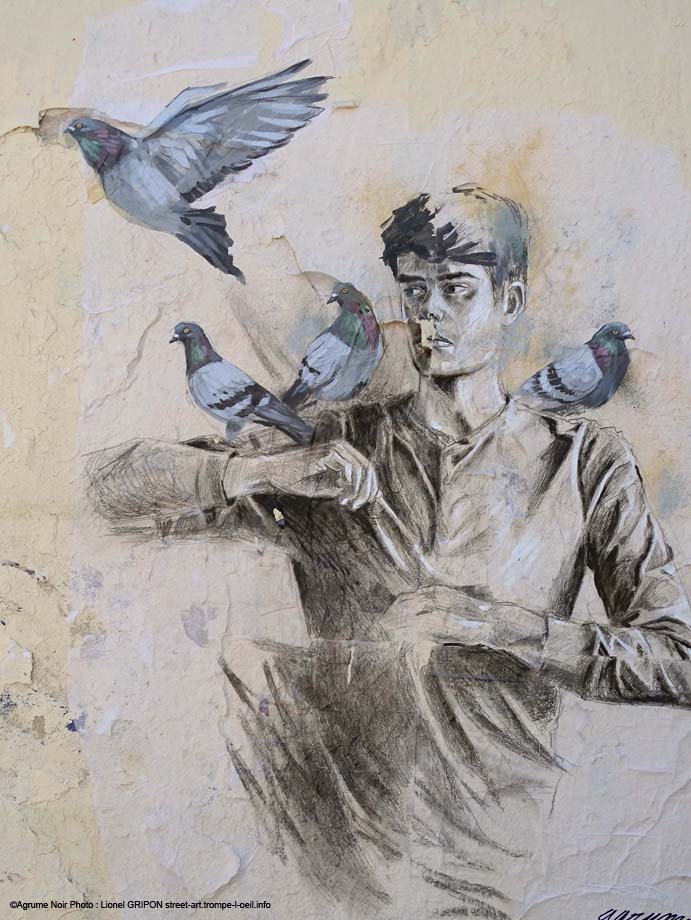 Oiseaux des villes