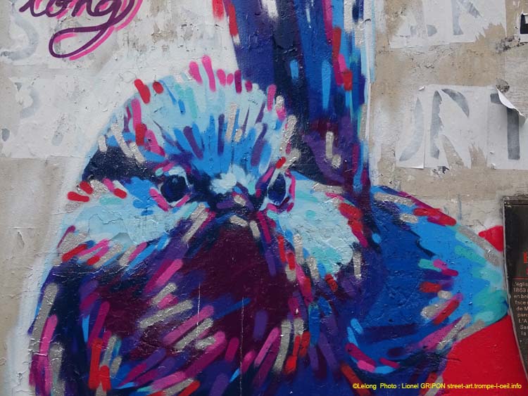 Moineau bleu