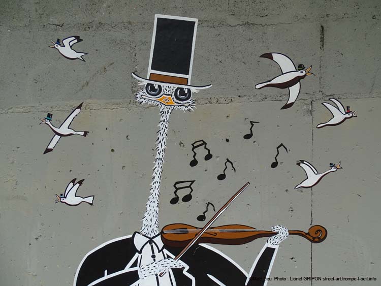 Autruche violoniste