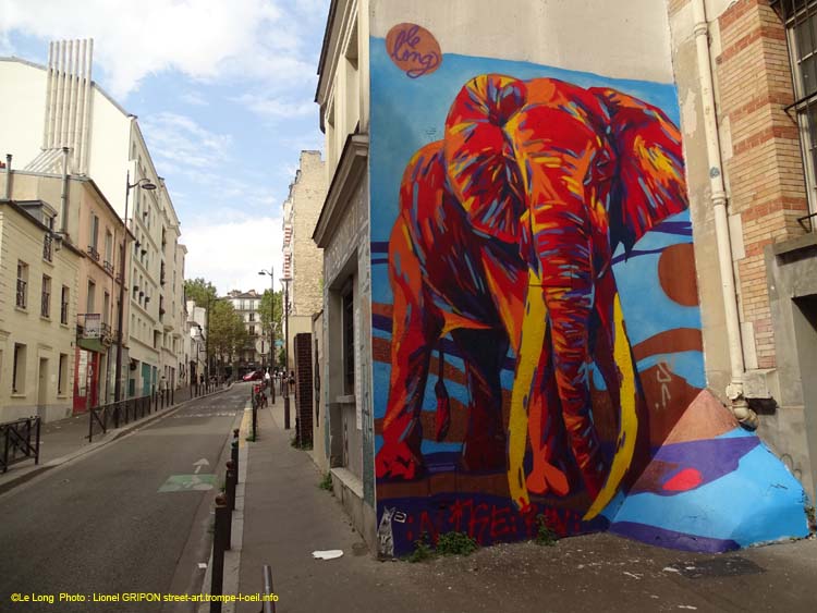 Éléphant coloré