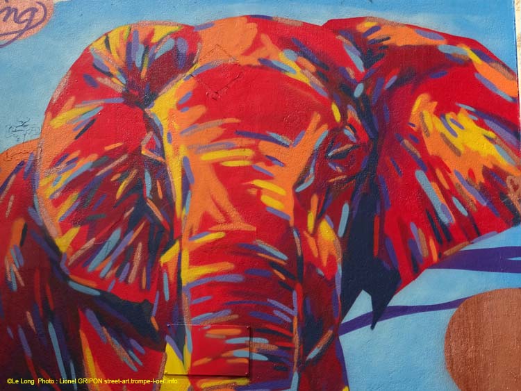 Éléphant coloré