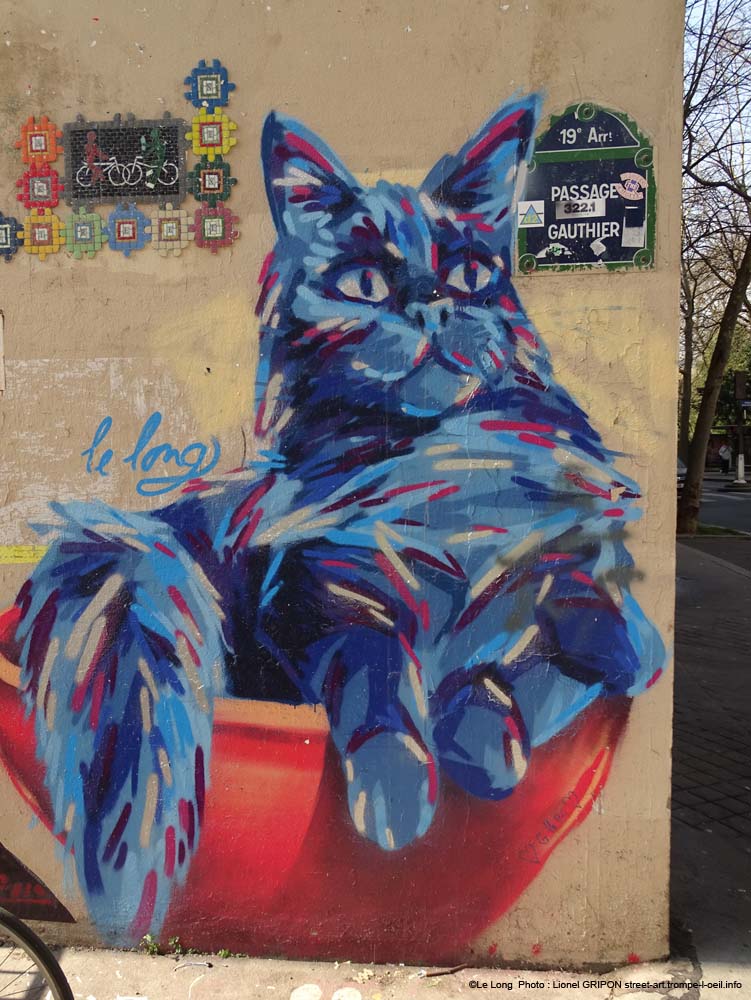 Chat bleu