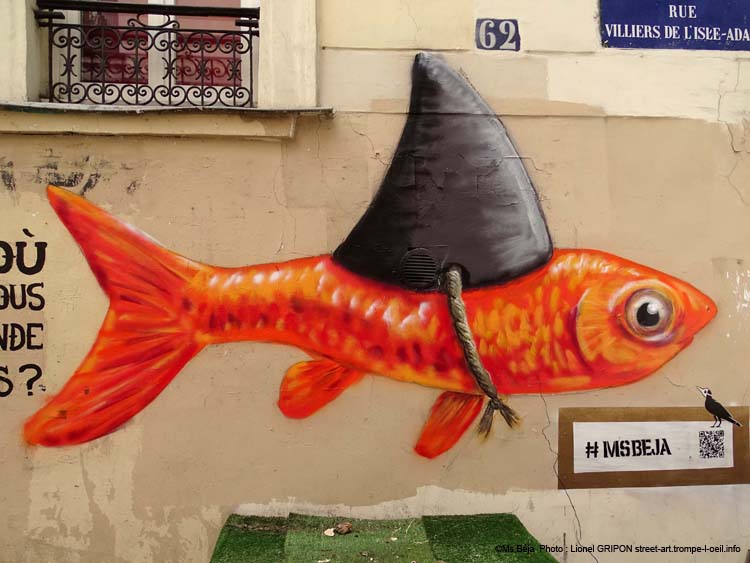 Monde de requins