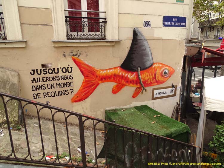 Monde de requins