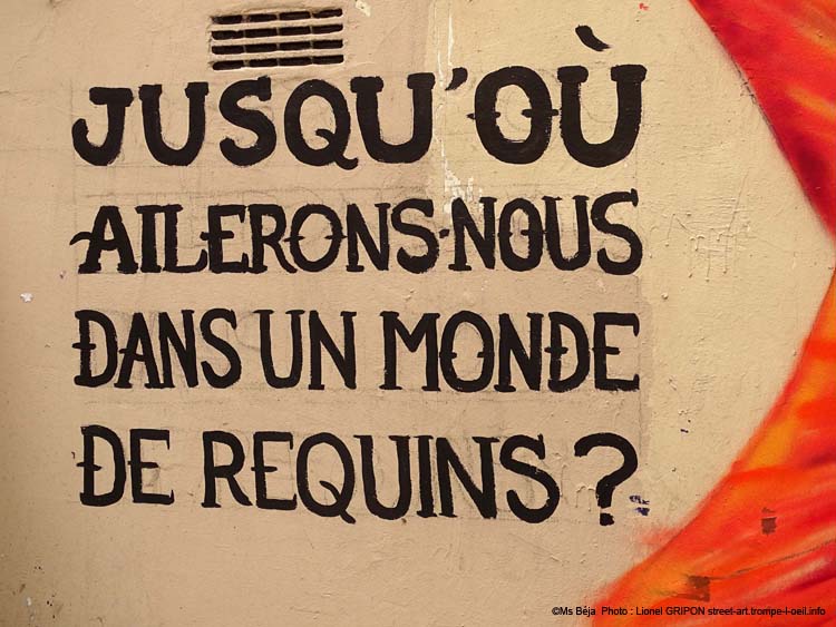 Monde de requins