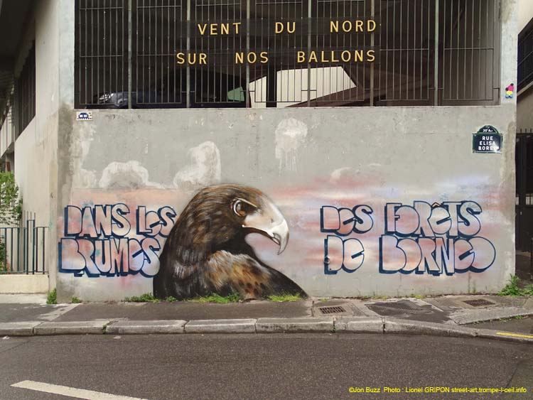 Aigle et Bornéo