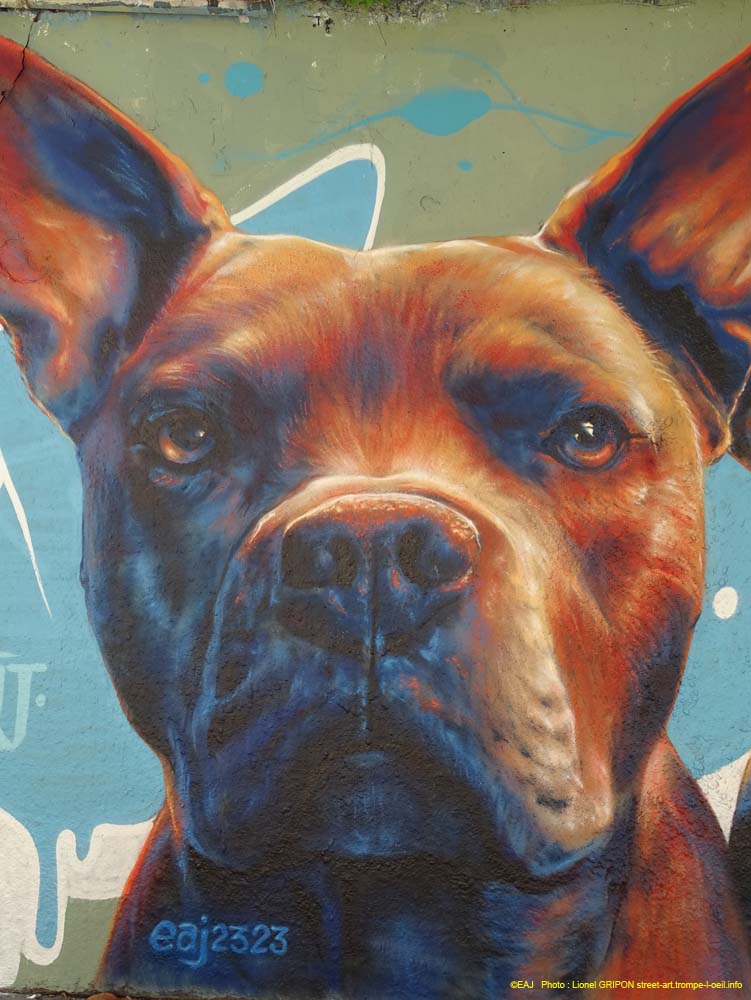 Roofus & Kilo