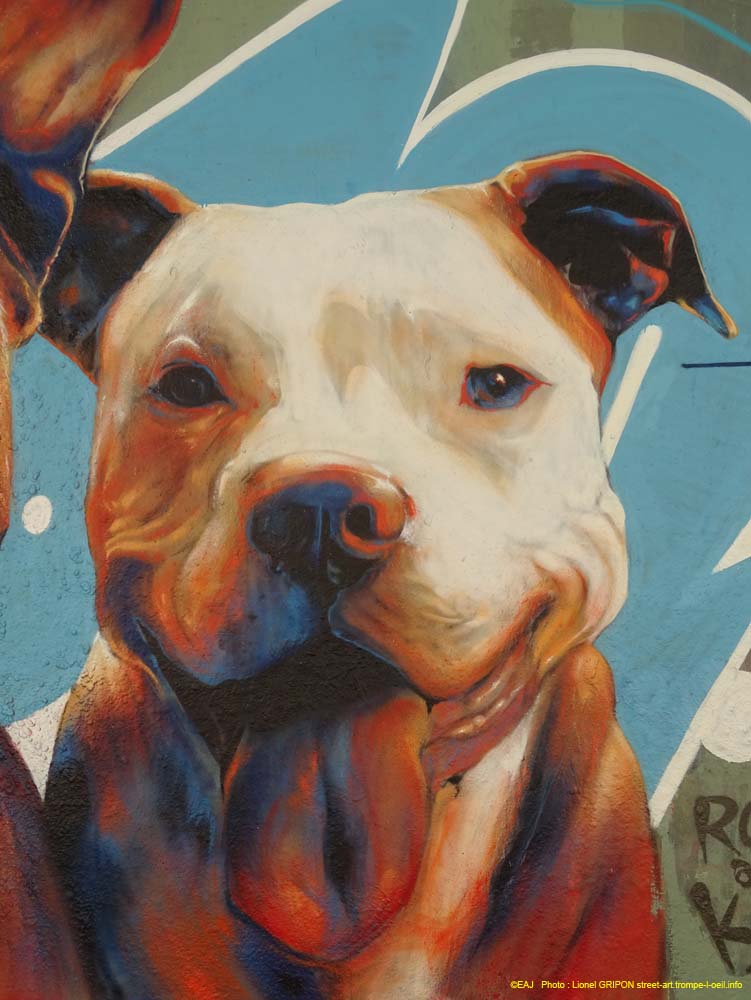 Roofus & Kilo
