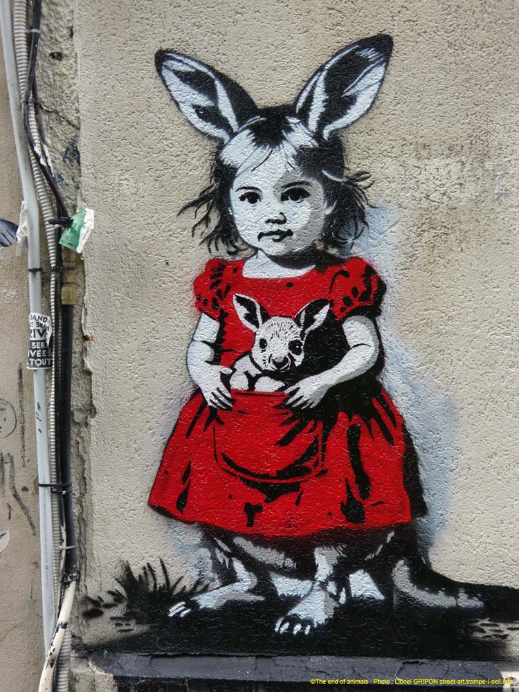 Fillette et wallaby-01