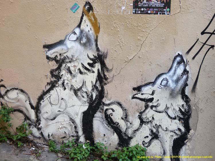 Loup et louveteau
