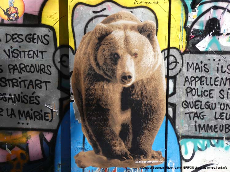 Ours brun-02