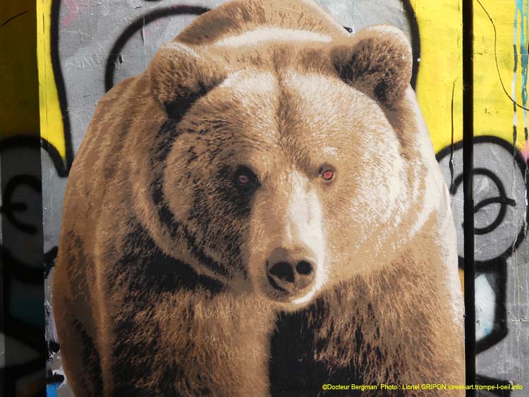 Ours brun-02