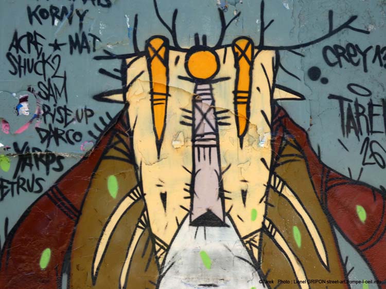 Insectes imaginaires-05