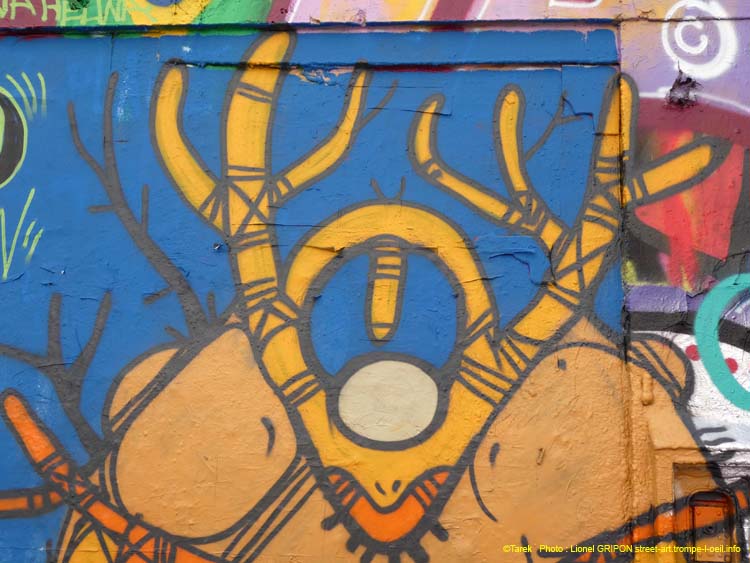 Insectes imaginaires-07