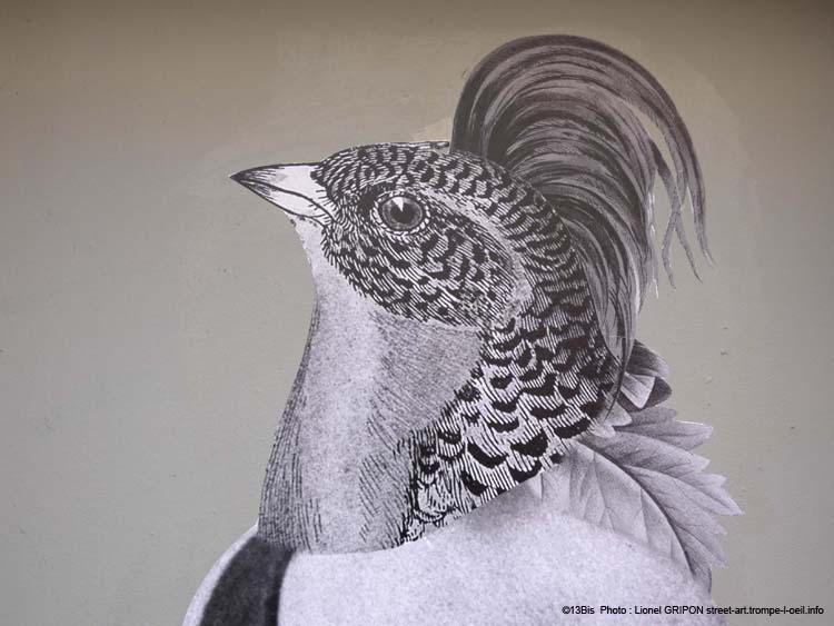Oiseau immortel