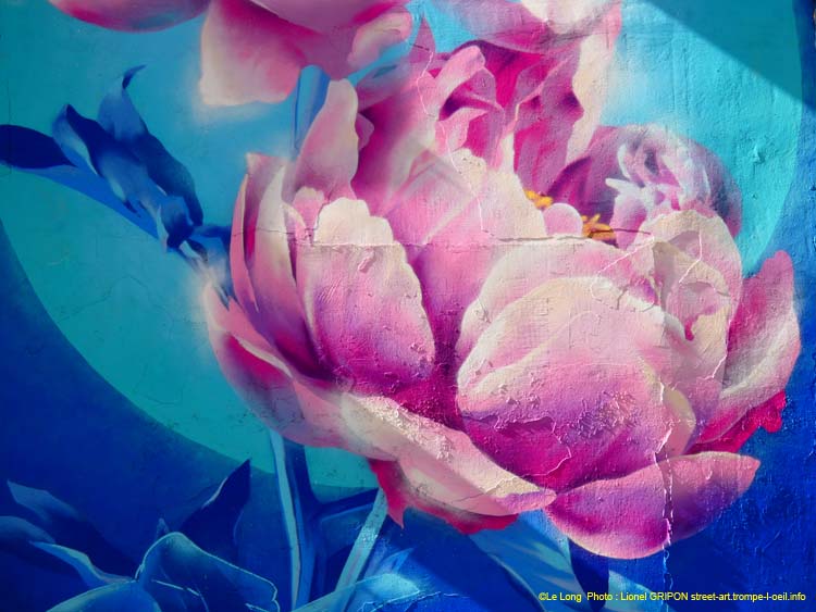 Rose et Pivoine