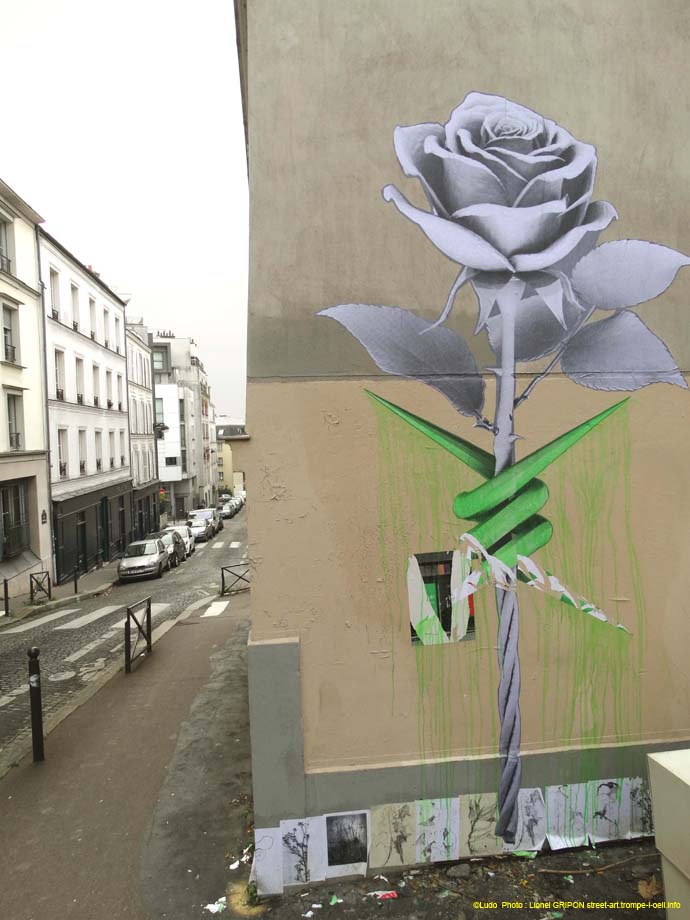 Rose barbelée