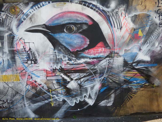 Oiseau tropical