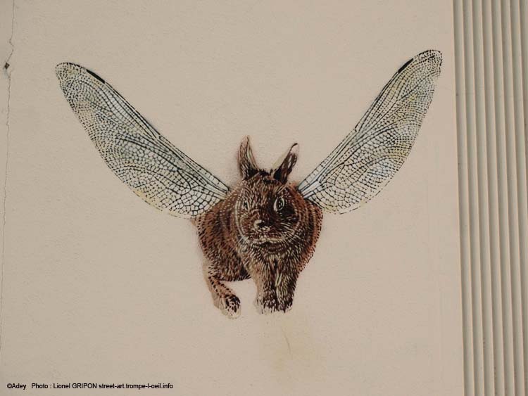 Lapin volant