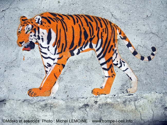 La savane