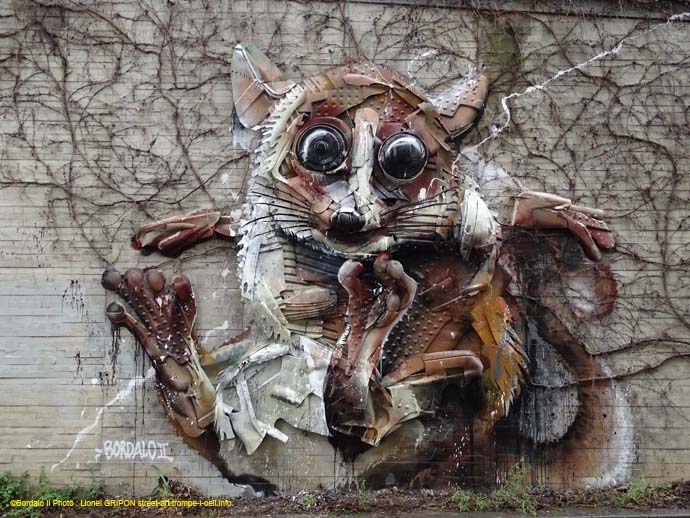 Souris grise