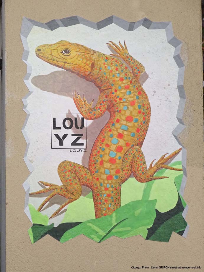 Lézard-03