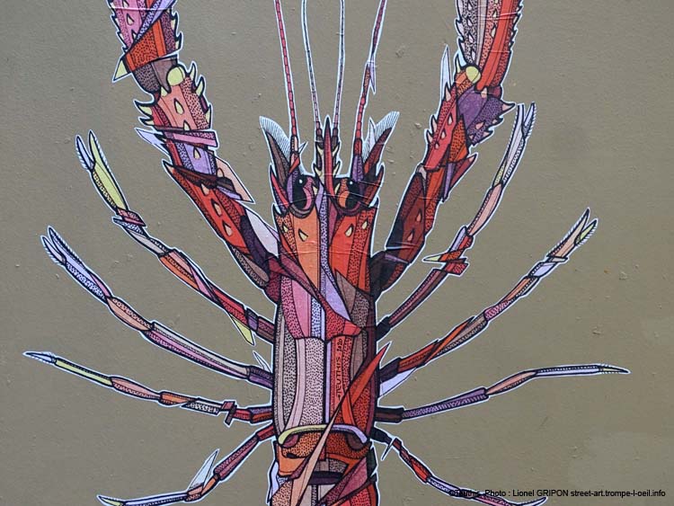 Nephrops norvegicus