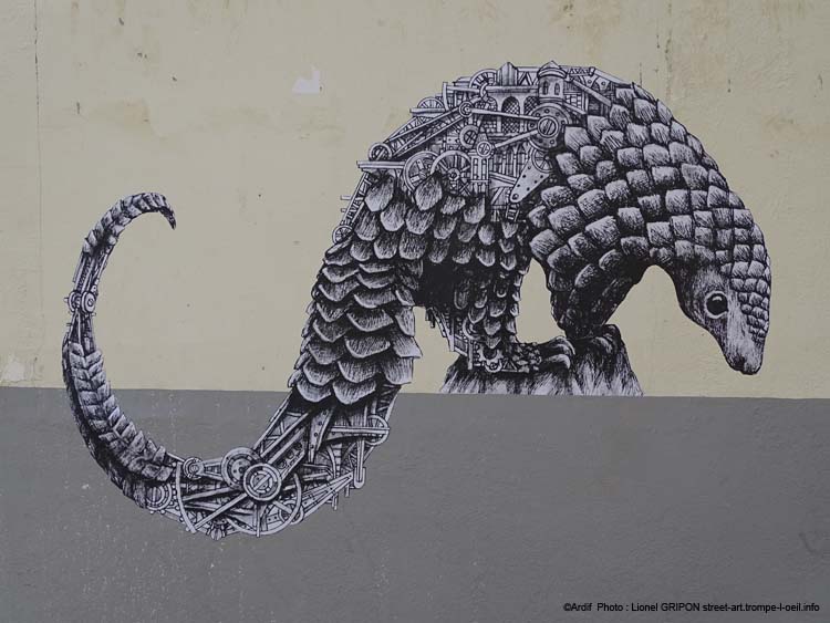 Pangolin