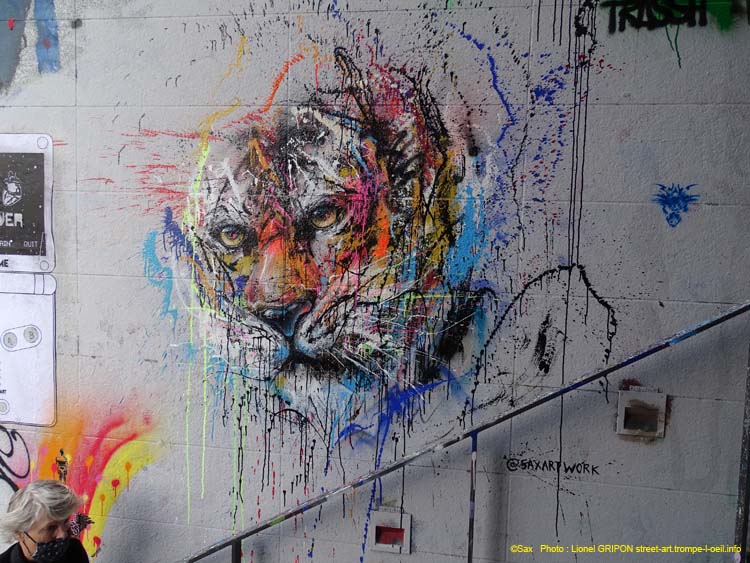 Tête de tigre