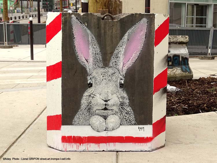 Gros lapin