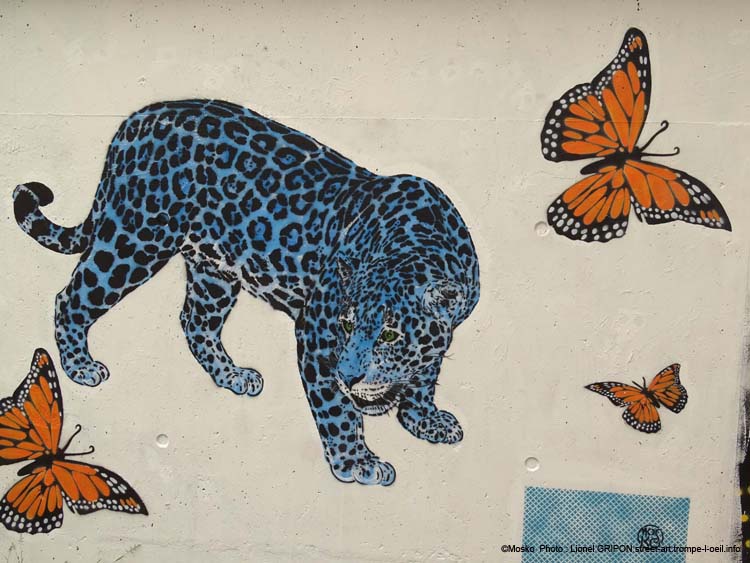 Jaguars et papillons