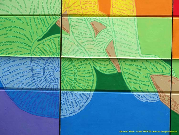 Caméléon multicolore