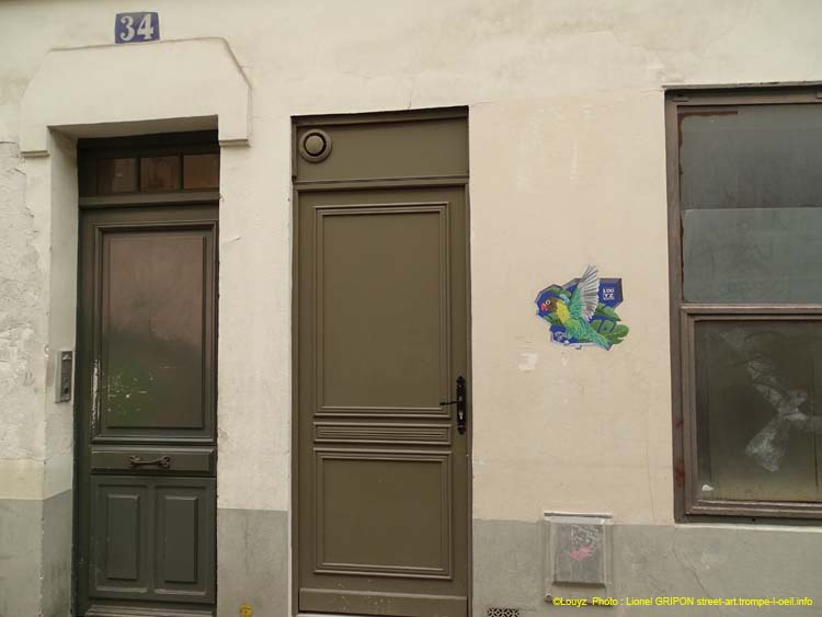 Perroquet-03