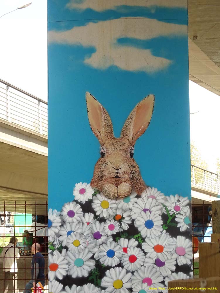 Fleurs et lapin