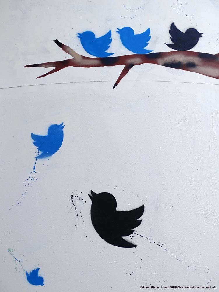 The birds