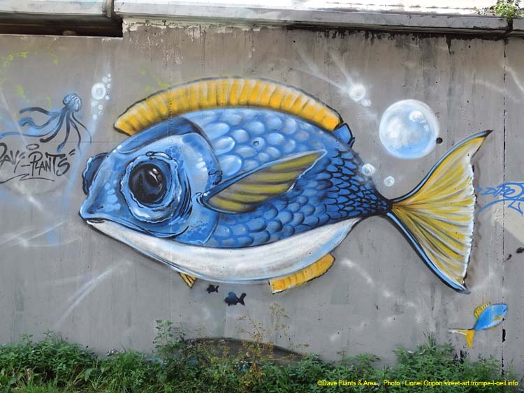 Belle et poisson