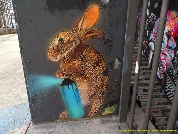 Lapin graffeur