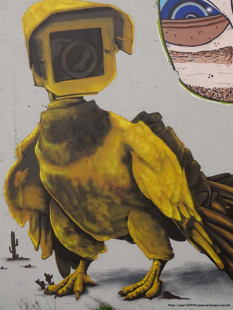 Pigecam & crâne