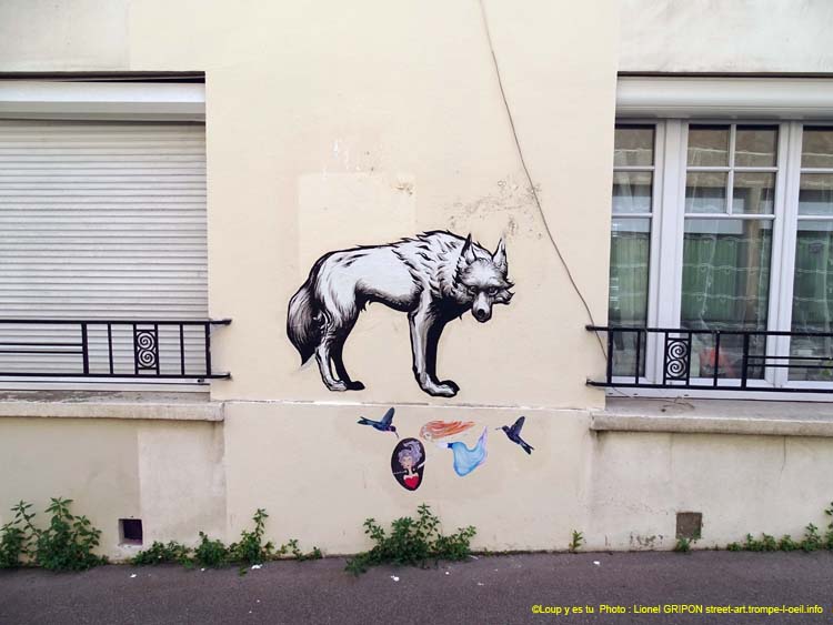 Loup perdu