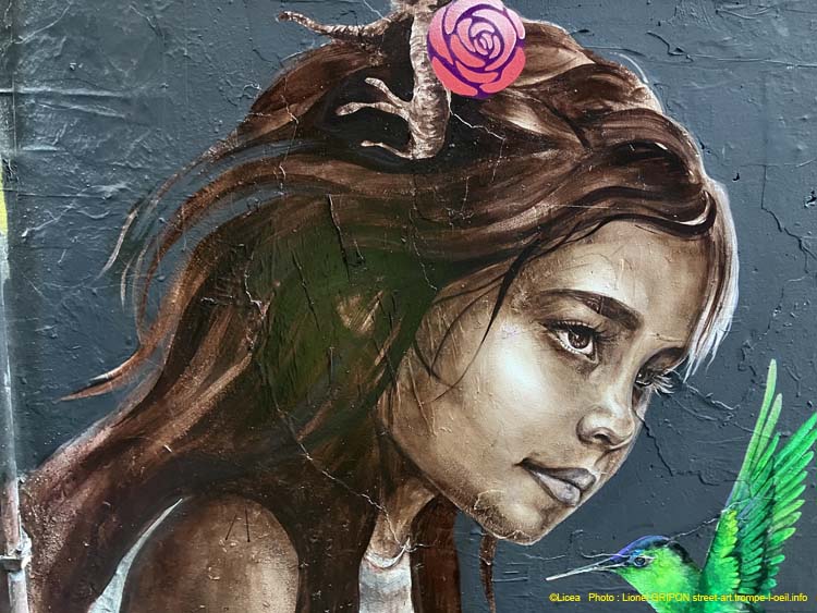 Rose et colibri