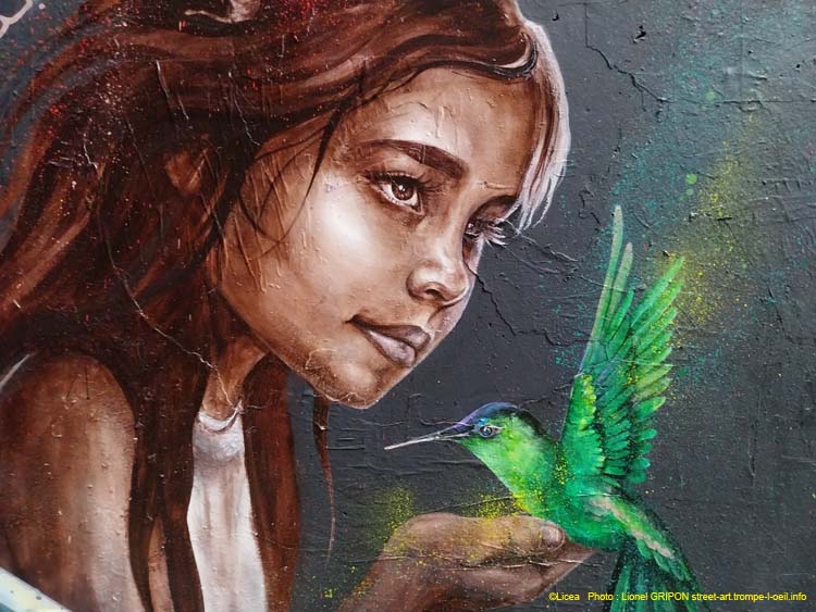 Rose et colibri
