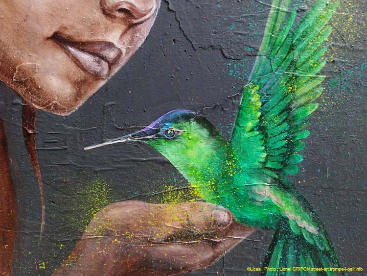 Rose et colibri