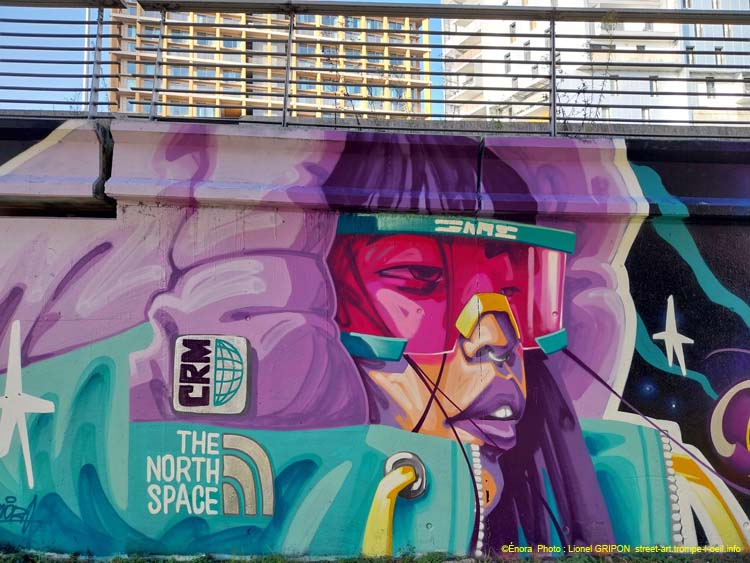 The North Space