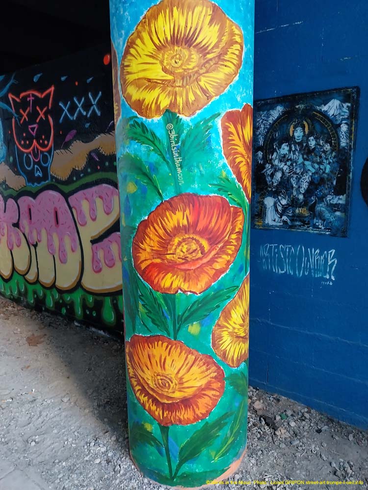 Fleurs et perroquets