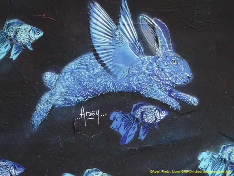Lapin volant-02
