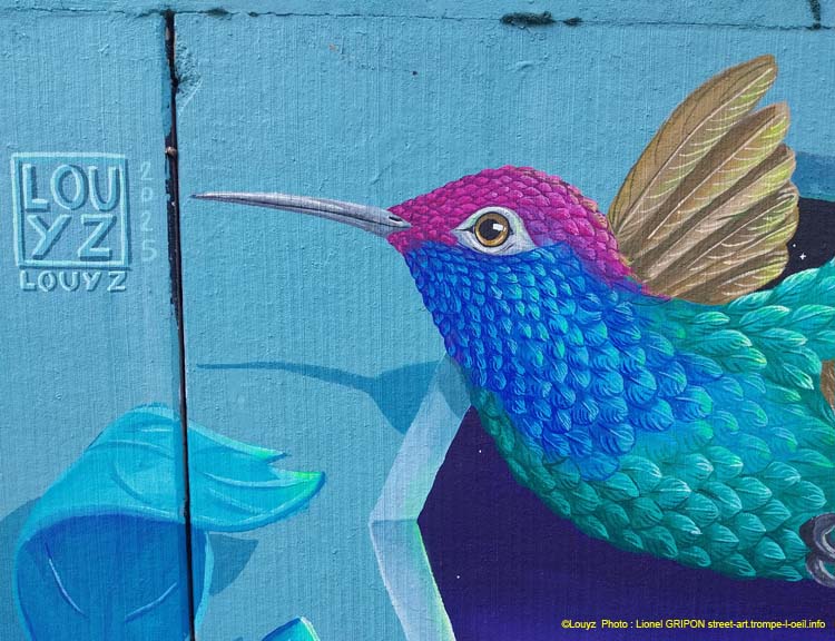 Colibri en vol-02