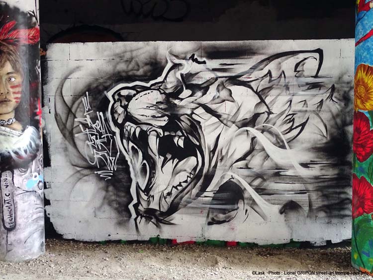 Fauve rugissant