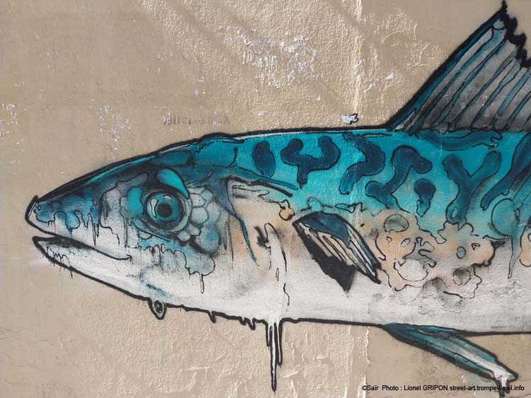Poisson dans eau