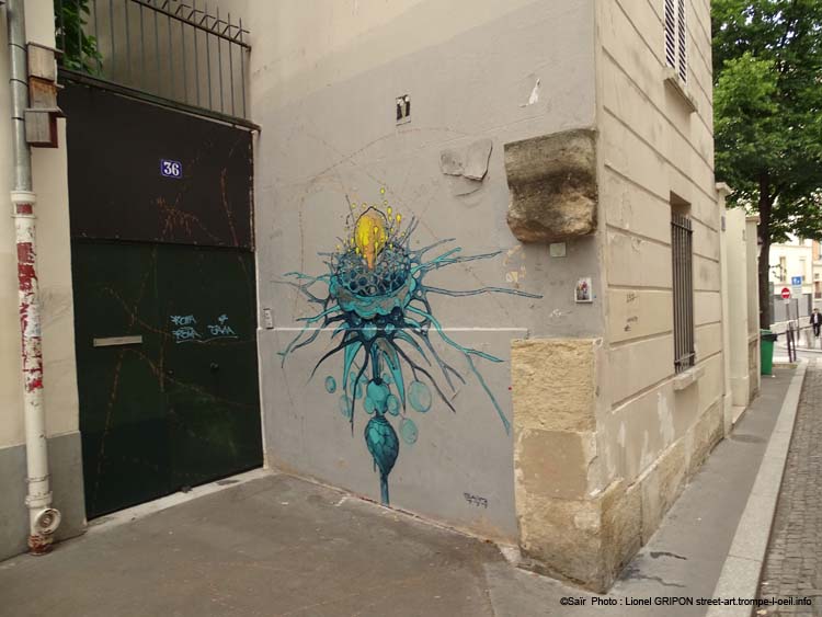 Fleur cosmique-02